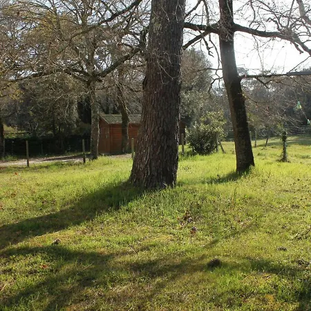Maison La Tremblade-ronce-les-bains, 3 Pieces, 6 Personnes - Fr-1-305b-45 Casa de Férias *
